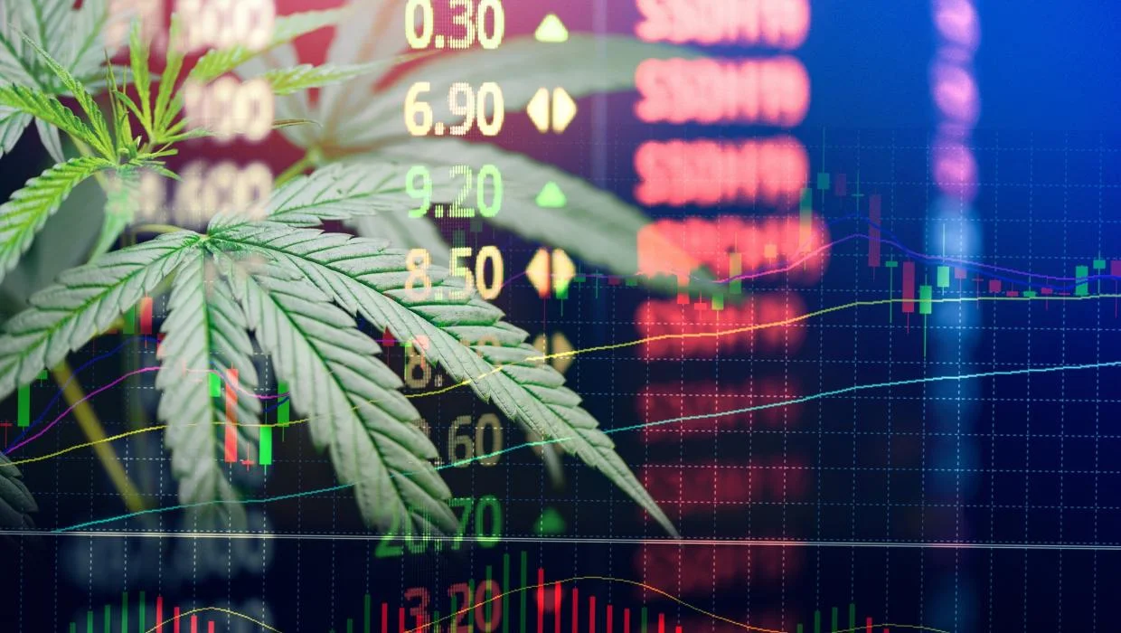 Best cannabis stocks to watch