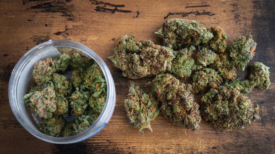 Best weed strains