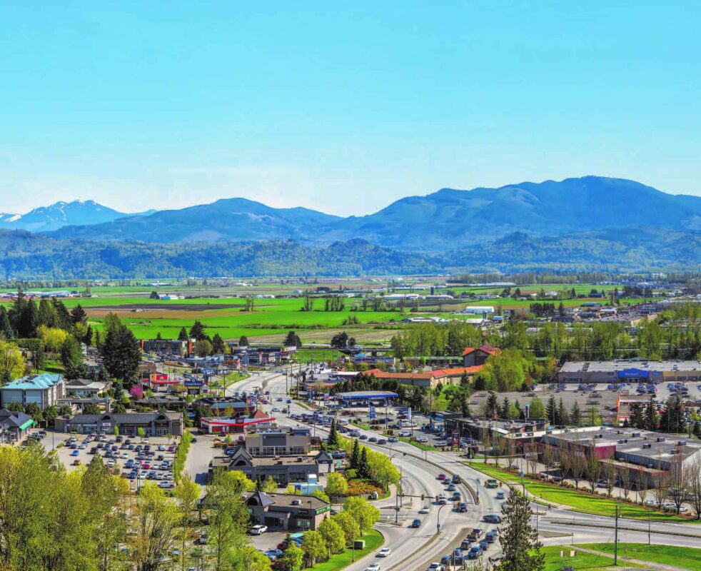 62 982x800 - Same Day Cannabis Delivery in Abbotsford