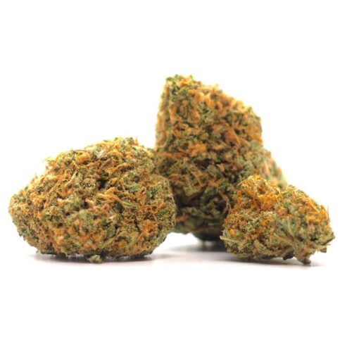 Agent Orange – AAA