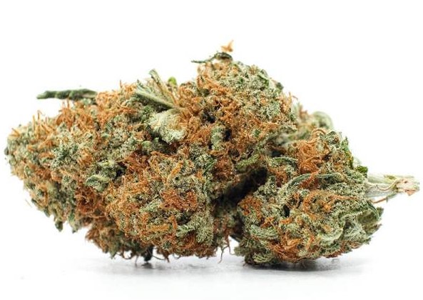 Agent Orange - Agent Orange Marijuana Strain Review