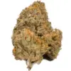 Atomic Pink – Indica