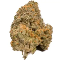 Agent Orange – Sativa