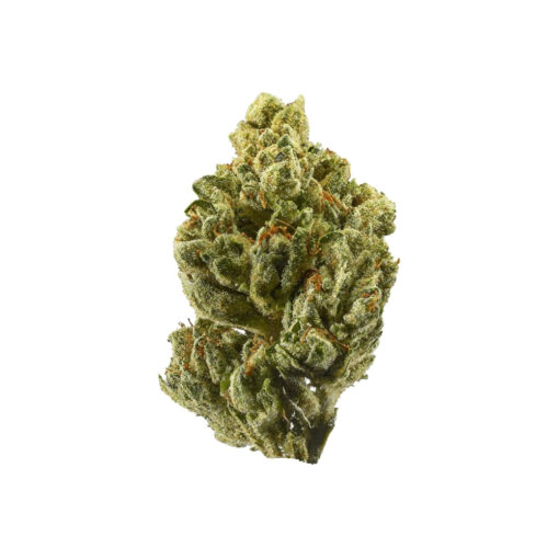 Alien OG – Hybrid BULK