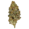 Orange Crush – Sativa/Hybrid