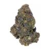 Banana Jack – Hybrid