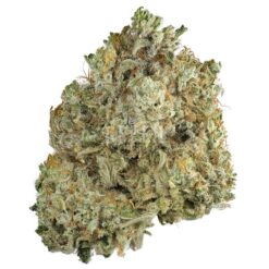 BC Rockstar (Bulk)