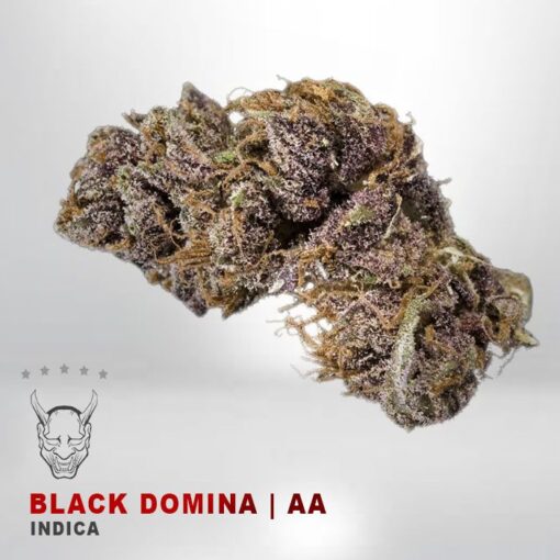 Black Domina – AA – $75/Oz