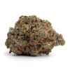 Cherry Bomb AA – Sativa