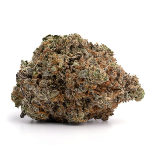 Blue Petrol – Indica