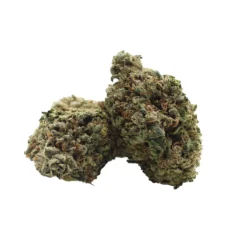 Blue Diesel AA – Hybrid