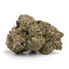 Tropicana Cookies – Sativa