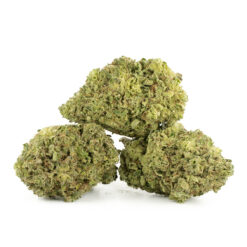 Bruce Banner #3