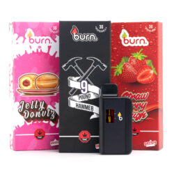 3g Disposable Vapes (Burn)