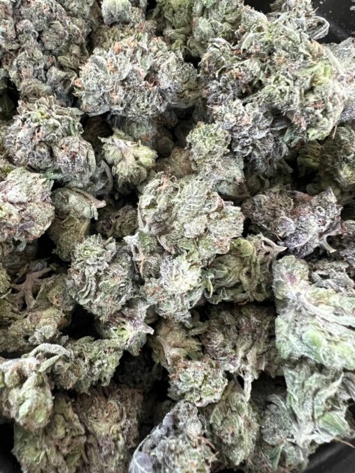 Island Pink LSO Smalls