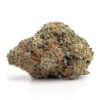 Grape Gas – Sativa