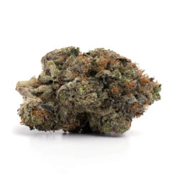 Cotton Candy LSO – Indica