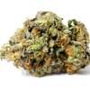 Super nova – Indica