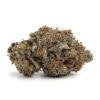 Passout Pink LSO – Indica