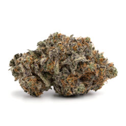 Death Star LSO – Indica