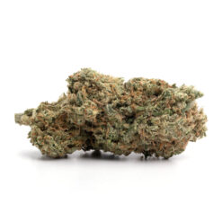 Pink Diablo – Indica