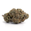 Passout Pink LSO – Indica