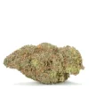 Pink Ghost – Indica