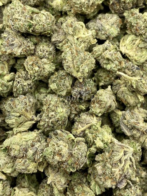 Gelato Hybrid Popcorn Smalls – Limited Special