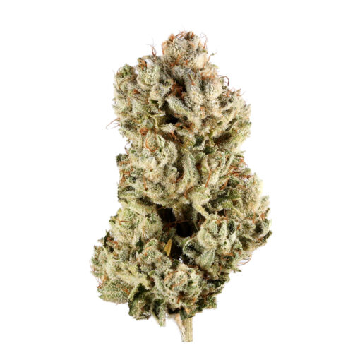 Gorilla Glue  – Hybrid