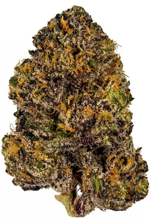 Granddaddy Purple - Granddaddy Purple Marijuana Strain Review