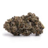 Pink Asteroids – Indica