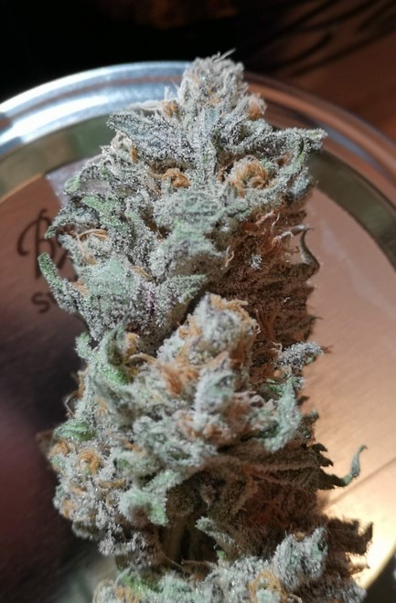 Grape Ape strain 2 - Grape Ape Strain Review