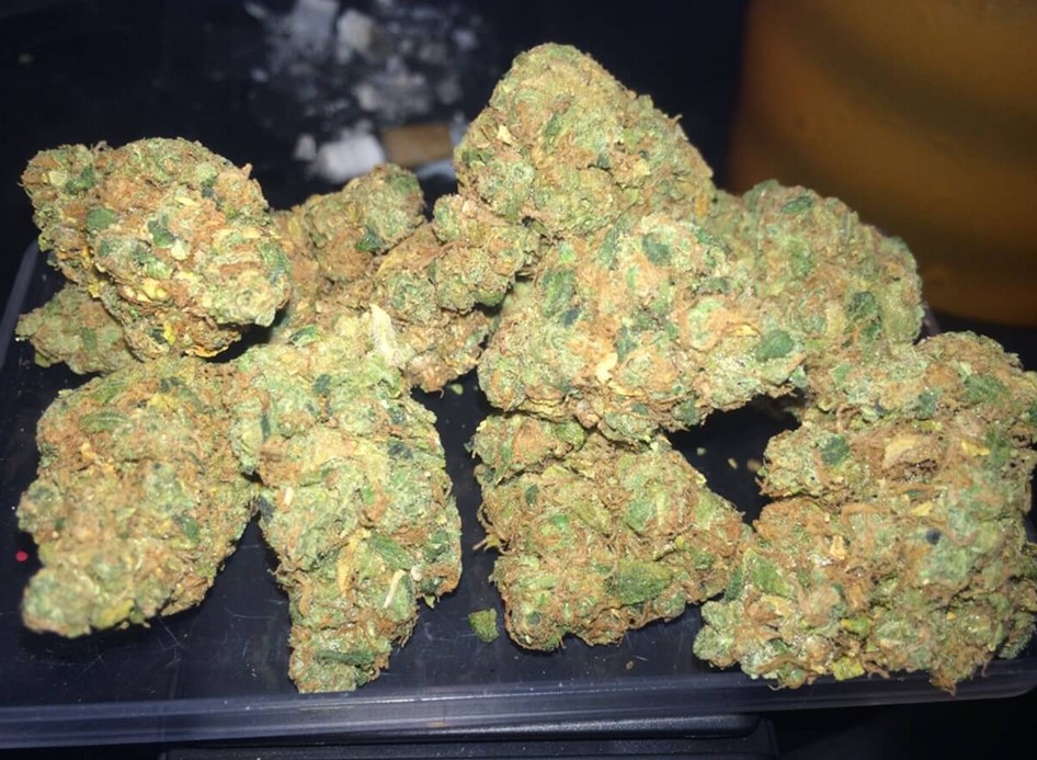 Haze Weed strain 03 - Outlaw Haze Cannabis Strain Review