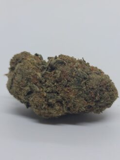 Blue Diesel – Hybrid OZ Special