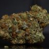 White Death LSO-Indica