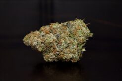 Pink Unicorn-Indica