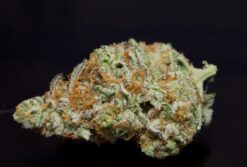 Citrus Punch-Sativa