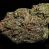 Pink Comet LSO-Indica