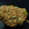 Monster Bubba – Indica