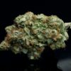 West Coast Pink LSO – Indica