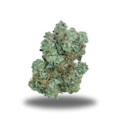 Pink Goo – Indica