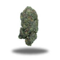 Pink Champagne – Indica