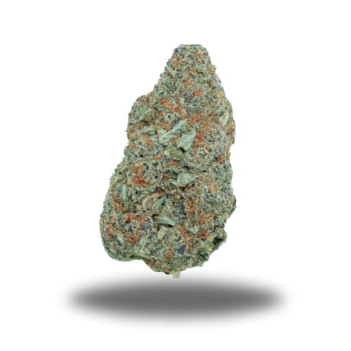 Chocolate Orange Dream – Sativa