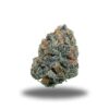 Gas Mask – Indica