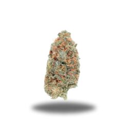 Blue Dream – Sativa