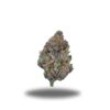 Key Lime Pie – Sativa