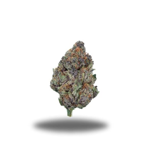 Amnesia Haze – Sativa