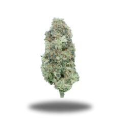 Mint Guava LSO – Sativa