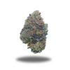 OG Runtz LSO – Indica