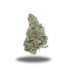 OG Runtz LSO – Indica